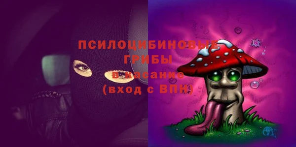 спиды Алзамай