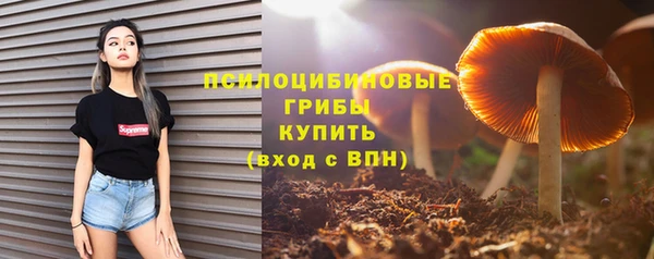 ГАЛЛЮЦИНОГЕННЫЕ ГРИБЫ Алексин